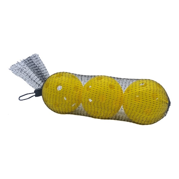 Pickleball Replacement Balls 751490